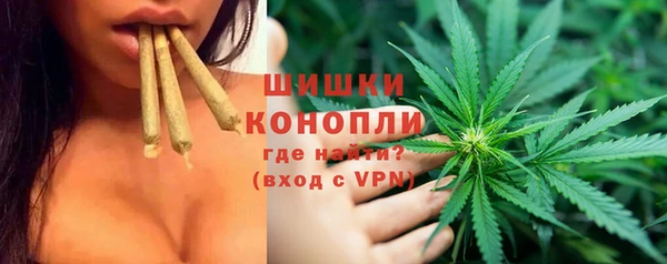 мдпв Дмитровск