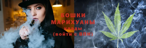 мдпв Дмитровск