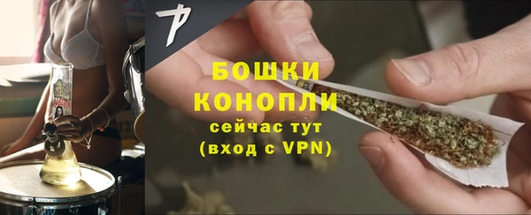 мдпв Дмитровск