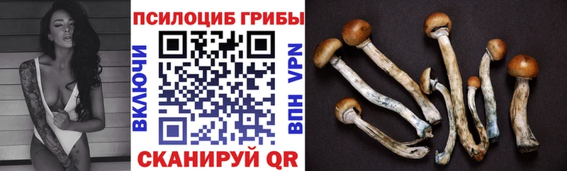 Купить  Учалы  Псилоцибиновые грибы GOLDEN TEACHER 